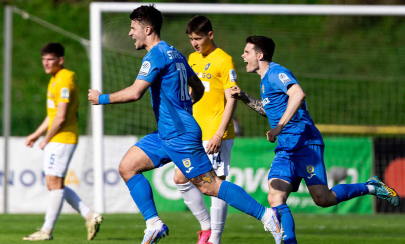 StuparevicIzjavaPredRogasko