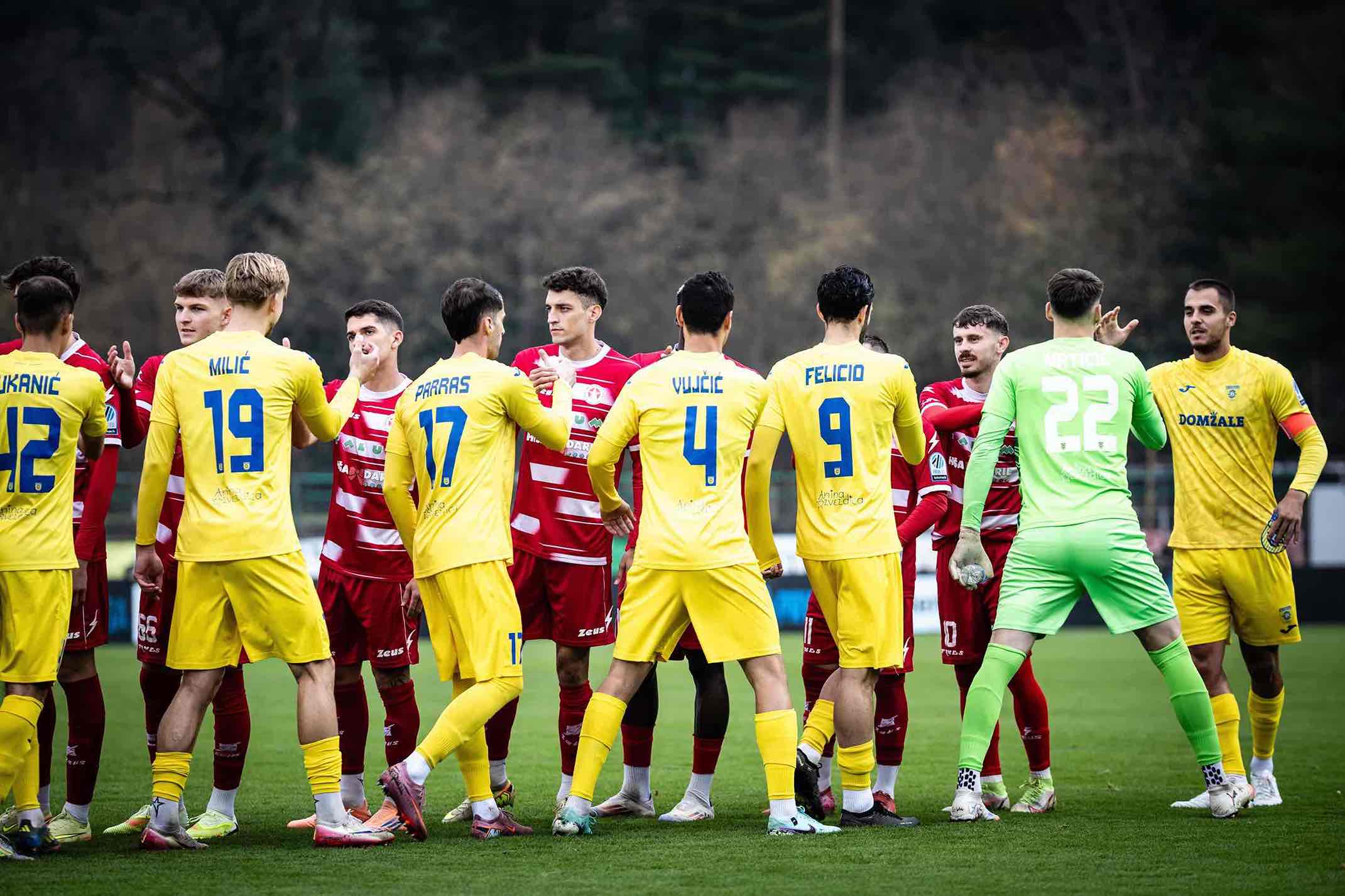 1. SNL, 15. krog, Aluminij 3:1 Domžale