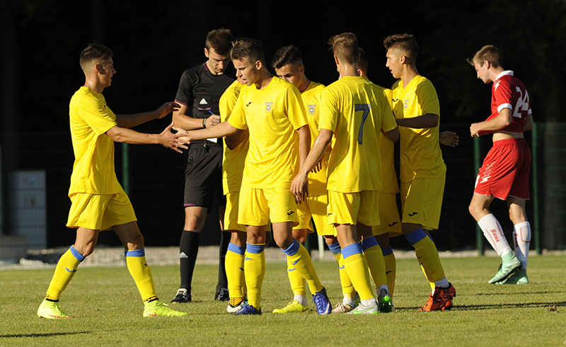 Anis Ja&scaron;aragić