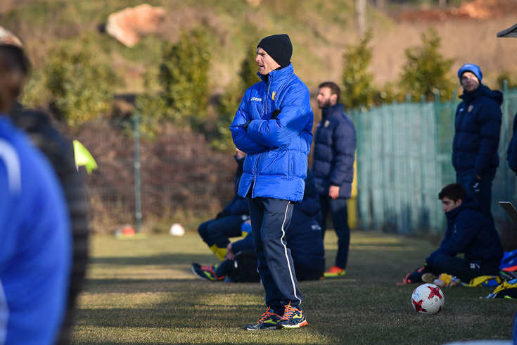 13 rozman ho20170127